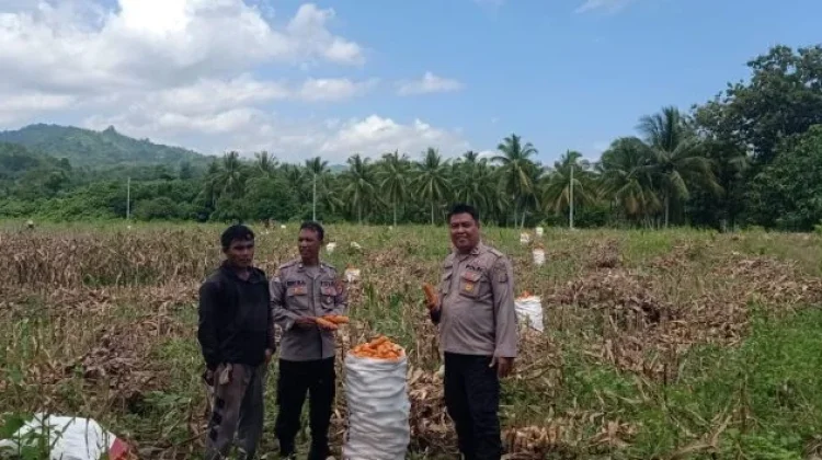 Kapolsek Ampana Kota Dorong Warga Produksi Jagung untuk Penuhi Kebutuhan Pangan