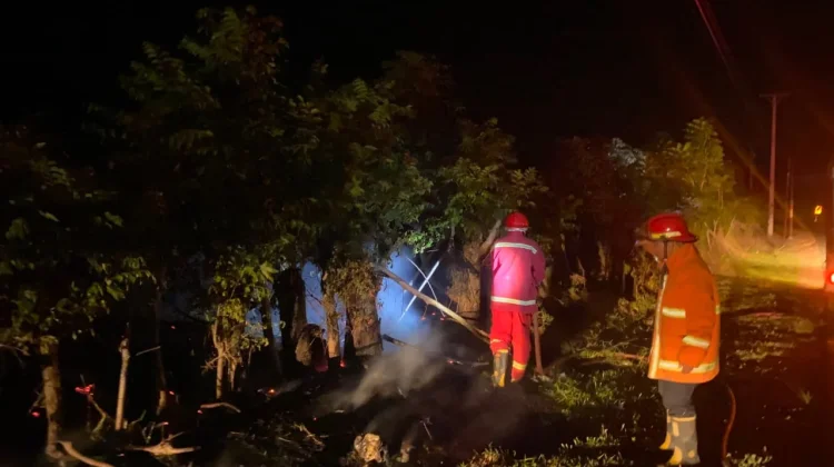 Damkarmat Touna Berhasil Tangani Kebakaran Lahan di Padang Uloyo