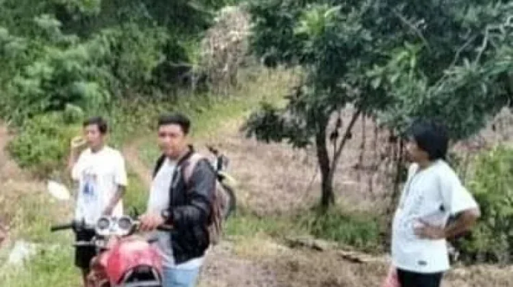 Pemerintah Daerah Kabupaten Touna Bangun JUT Optimalkan Produksi Pertanian