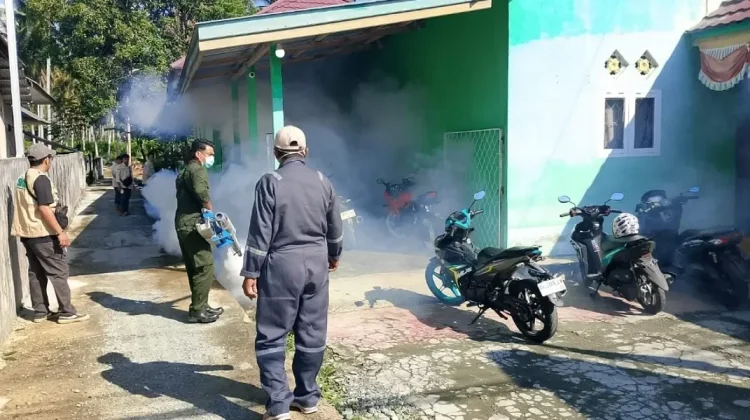 Cegah Penyebaran DBD, Dinkes Touna Lakukan Fogging di Uemalingku