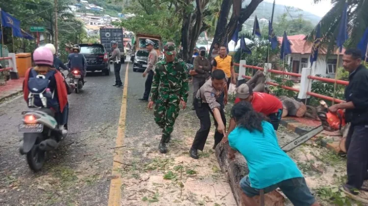 TNI Polri Bersama Warga Luwuk Banggai Kerjasama Tangani Pohon Tumbang