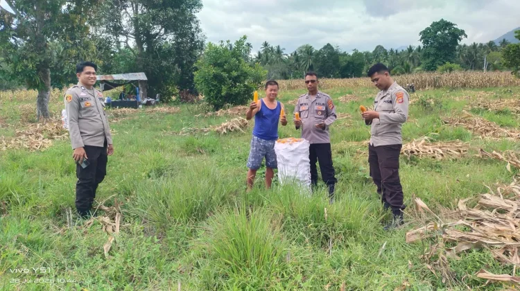 Polsek Ampana Kota Suport Petani Tingkatkan Hasil Panen