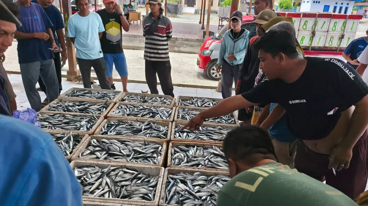 Harga Ikan di Ampana Kembali Naik, Cuaca Laut Jadi Pemicu