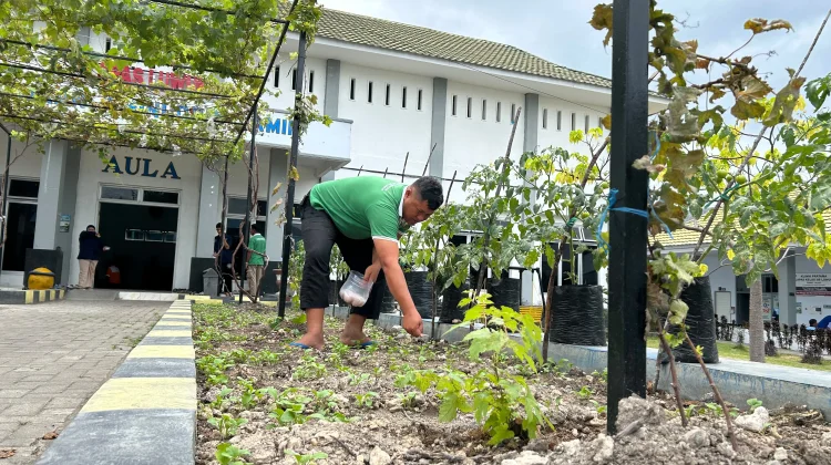 Warga Binaan Lapas Luwuk Buktikan Keahlian Merawat Tanaman