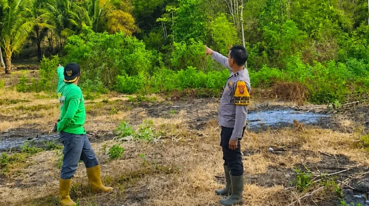Kebakaran Hutan Desa Longge, Tiga Hektare Diperkirakan Terbakar
