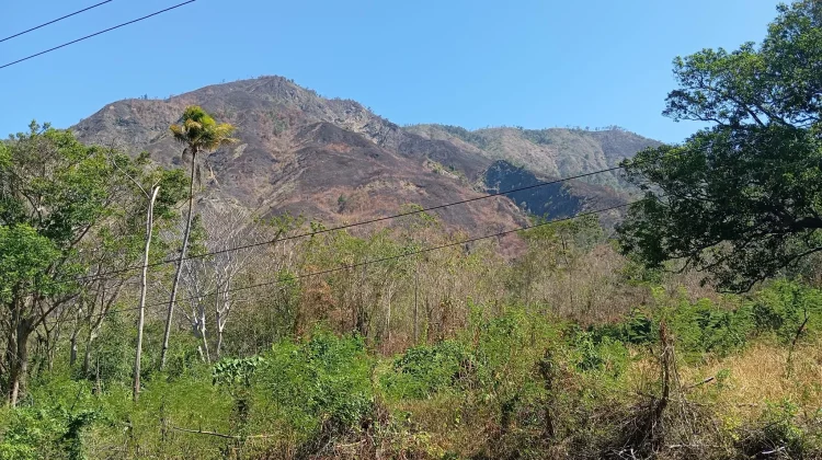 Kebakaran Hutan Gunung Tempasan Masih Sisakan Titik Api