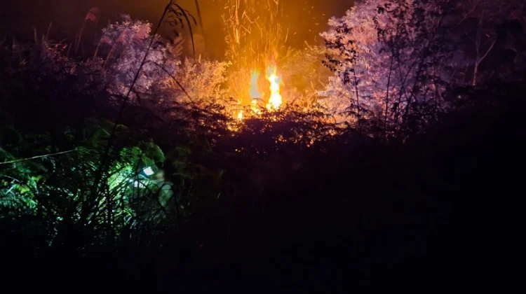 Karhutla Batu Pongke Lokasi Sulit Dijangkau dan Angin Kencang Hambat Pemadaman