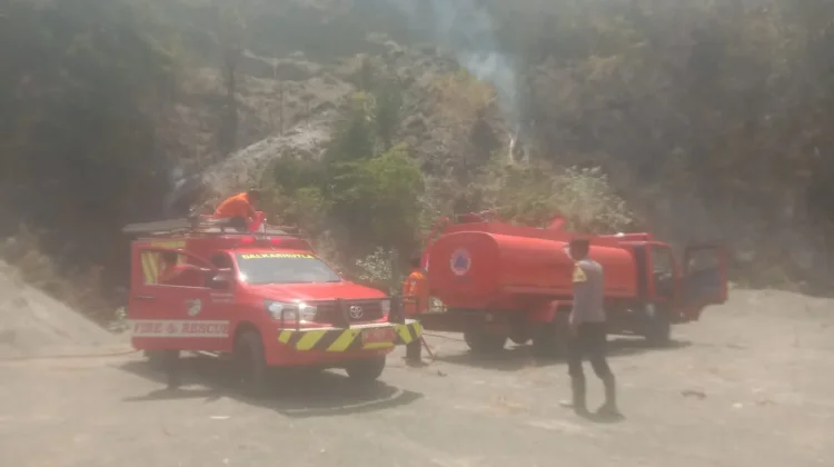 Karhutla di Balanggala Touna Hanguskan 2 Hektar Lahan Pertanian