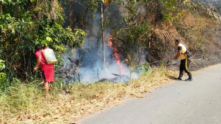 Karhutla Melanda Tangkura Poso, Polsek Kerahkan Personel Padamkan Api