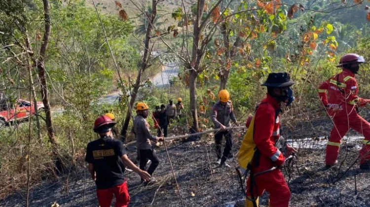 Personil Brimob dan Damkar Touna Berhasil Padamkan Karhutla di Desa Bonebae