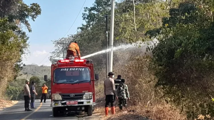 Karhutla Tampanombo Masih Sisakan Titik Api, Tim Gabungan Terkendala Medan Sulit