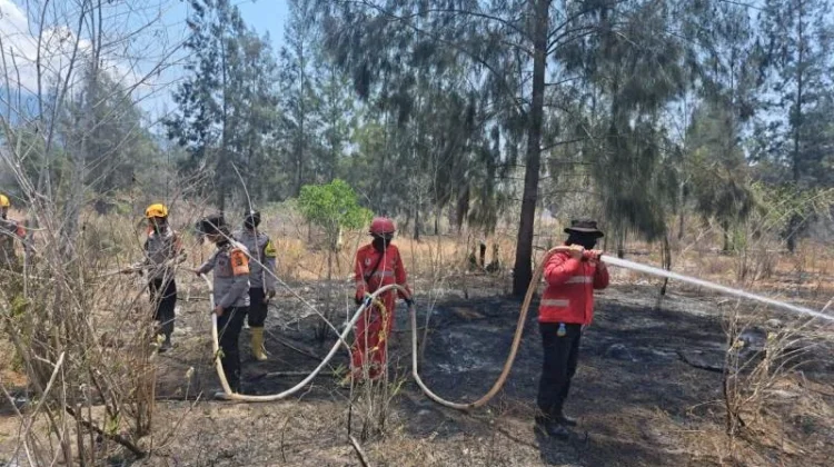 Tiga Hotspot Terpantau di Ulubongka, Api Meluas di Kasiala