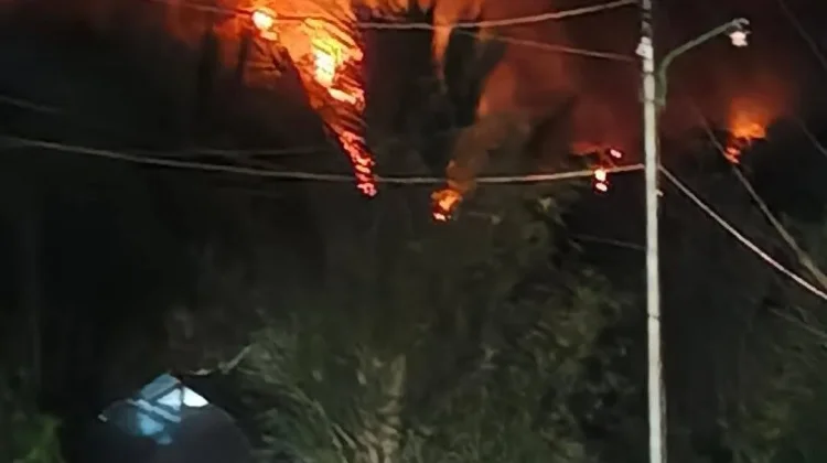Kebakaran Hutan dan Lahan di Betauwa Masih Terus Meluas