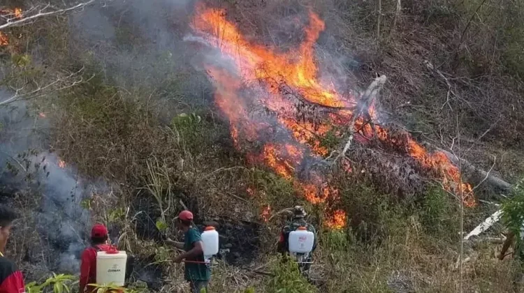 Damkarmat Touna Terjunkan 1 Unit Mobil Pemadam Bantu Padamkan Karhutla Banano