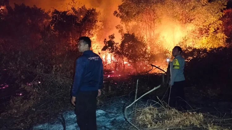 Polisi dan Damkar Bergerak Padamkan Api di Desa Cempa Touna