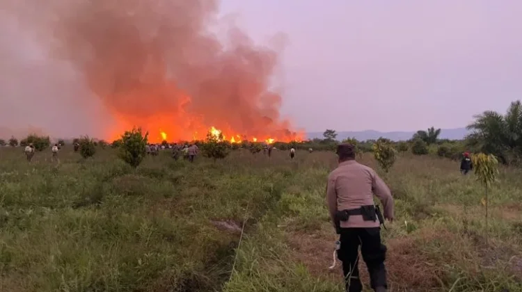 Penanganan Karhutla di Pamona Selatan Terus Diintensifkan, Situasi Terkendali