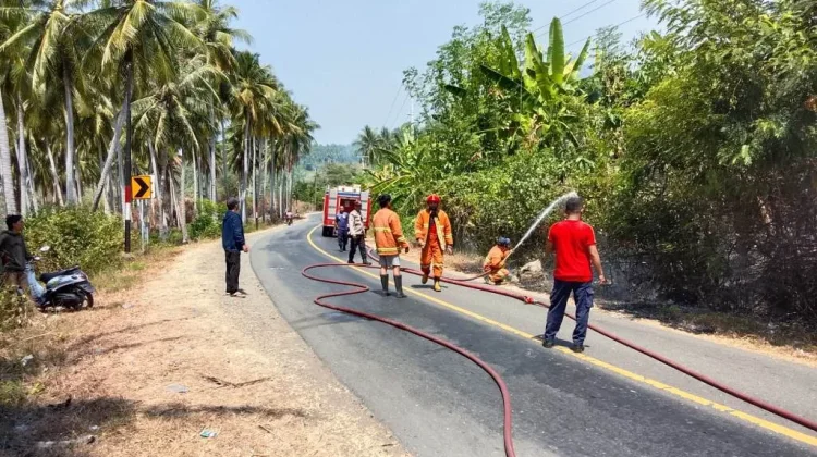 Karhutla Melanda Malotong, Api Bakar Lahan Seluas Satu Hektare