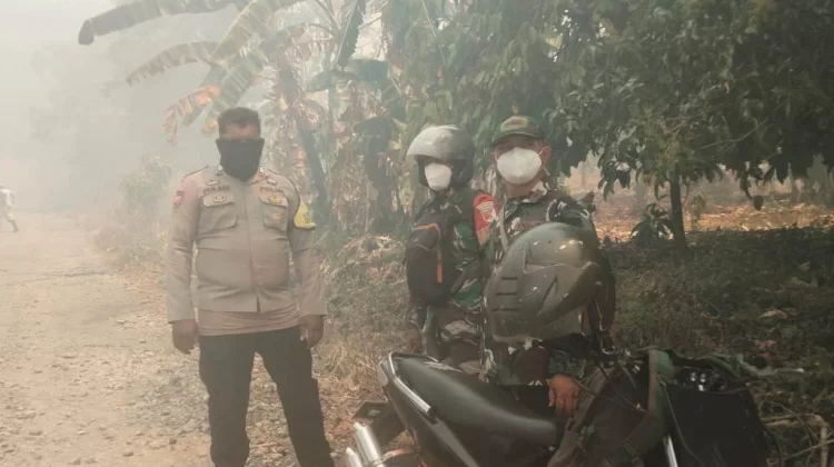 Karhutla Melanda Tiga Desa di Kecamatan Tojo