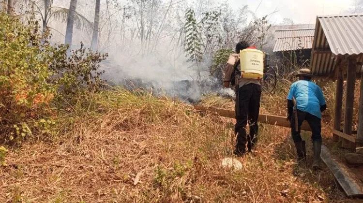 Karhutla Melanda Kawasan Hutan dan Perkebunan Warga di Buyuntaripa