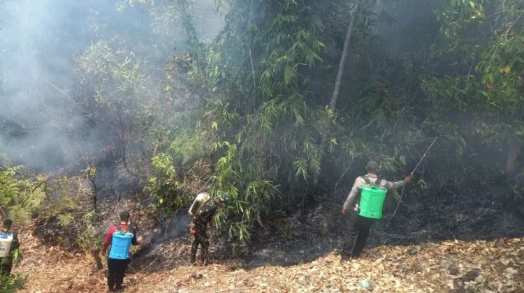 Karhutla Hanguskan Sepuluh Hektare Lahan Perkebunan di Padang Tumbuo