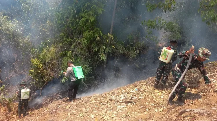 Sepuluh Hektare Lahan Perkebunan Warga di Ampana Hangus Terbakar