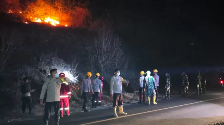 Karhutla di Perbukitan Tampanombo Touna Hanguskan 10 Hektare Lahan