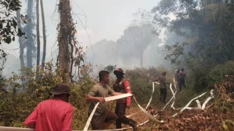 Karhutla Terjadi di Pegunungan Tinjoli, 5 Hektare Hutan dan Lahan Terbakar