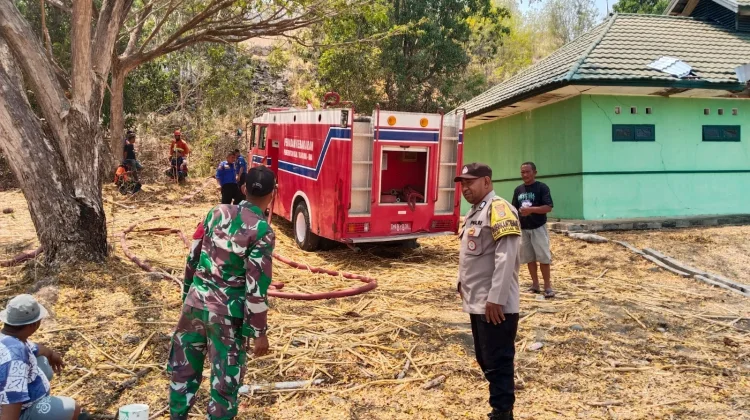 Kebakaran Lahan Terjadi di Padang Uloyo, Polsek Ampana Tete Kerahkan Personel