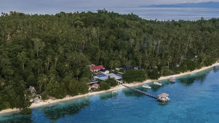 Bakti Hijau Buka Buka Kepulauan Togean, Upaya Reconnect Pulihkan Hutan