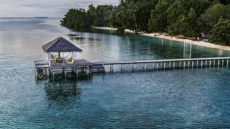 Bakti Hijau Buka Buka Kepulauan Togean, Upaya Reconnect Pulihkan Hutan