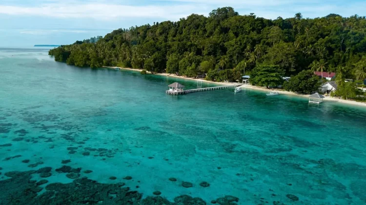 Bakti Hijau Buka Buka Kepulauan Togean, Upaya Reconnect Pulihkan Hutan
