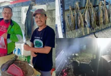 Ikan Fufu Primadona Asal Touna Tembus Pasar Nasional