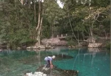 Pemeliharaan Kebersihan Wisata Malotong Rutin di Lakukan