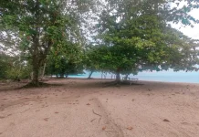 Pengembangan Wisata Pantai Matako Touna Perlu di Tingkatkan