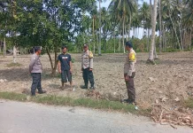 Kapolsek Ampana Kota Tinjau Lahan Jagung di Patingko