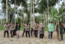 Wakapolres Touna Pimpin Penanaman Jagung Serentak Ikuti Arahan Kapolri