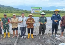 Perluas Sawah Rakyat, Tanam Padi Serentak Digelar di Desa Dataran Bugi