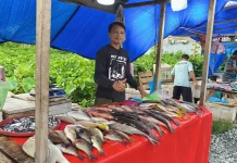 Berkah Ramadan, Rezeki bagi Pedagang Ikan Ampana
