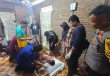 Warga Bailo Baru Dikejutkan Penemuan Pria Gantung Diri, Polisi Ungkap Kronologi
