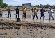 Pemda Touna Gelar Gerakan Tanam Serempak di Desa Lemoro