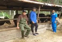 Dinas Pertanian Touna Lakukan Pengawasan Kesehatan Hewan Calon Qurban