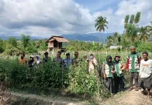Gengsi Hambat Pemuda Terjun Jadi Petani