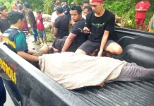 Pria Asal Morowali Meninggal Tertimpa Pohon di Touna