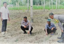 Polres Touna Komitmen Dukung Program Ketahanan Pangan Nasional