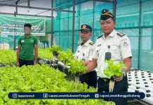 Lapas Luwuk Kembangkan Program Ketahanan Pangan Bagi Warga Binaan