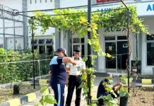 Pembinaan Mandiri, Lapas Luwuk Kembangkan Budidaya Anggur dan Melon