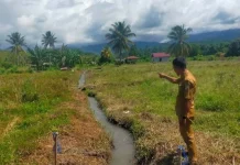 Pemkab Touna Realisasikan Pembangunan Irigasi Sawah Uetoli