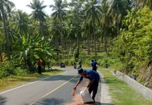 Antisipasi Kecelakaan Damkarmat Touna Taburi Serbuk Kayu Jalan Licin