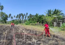 Damkarmat Touna Berhasil Padamkan Api yang Menghaguskan Kebun Warga