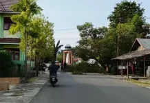 Pohon Rawan Tumbang Ditebang Demi Keselamatan Warga